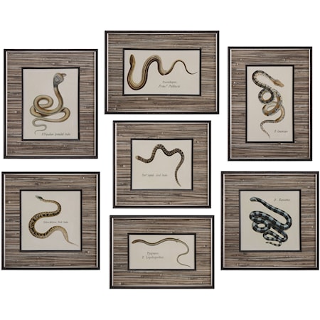 Snakes Under Glass (Set of 7)