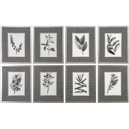Sepia Gray Leaves Prints (Set of 8)