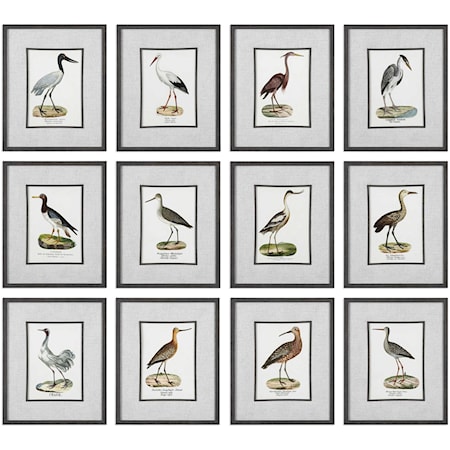 Seashore Birds Prints (Set of 12)