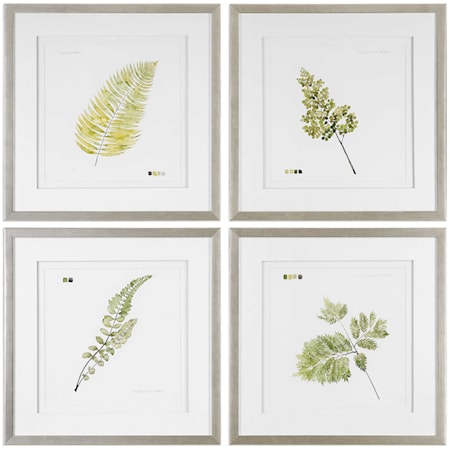 Watercolor Leaf Study Prints (Set of 4)