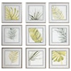 Uttermost Framed Prints Verdant Impressions Leaf Prints