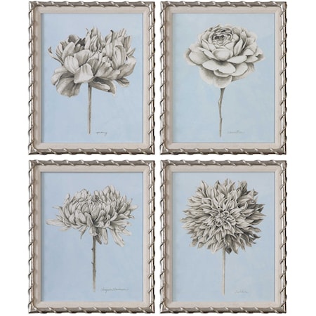 Graphite Botanical Study Floral Prints (Set 