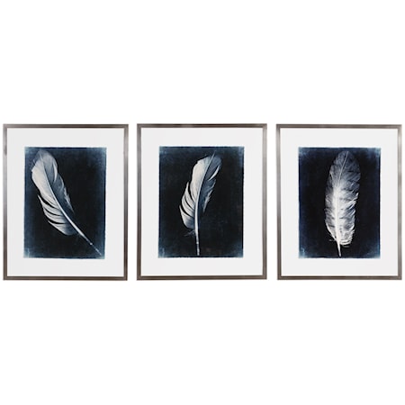 Inverted Feathers Prints