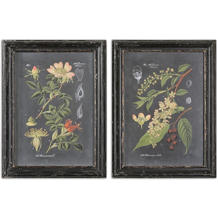 Midnight Botanicals Framed Prints, Set of 2