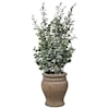 Uttermost Botanicals Tassos Potted Olive