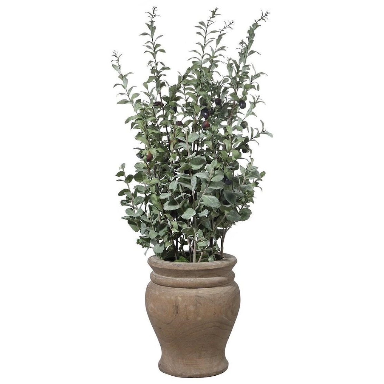 Uttermost Botanicals Tassos Potted Olive