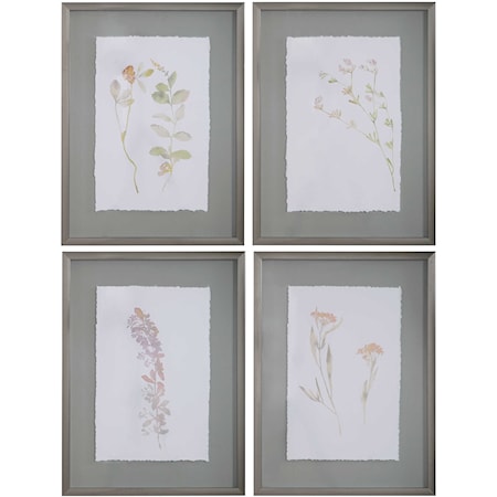 Flourish Framed Botanical Prints, S/4