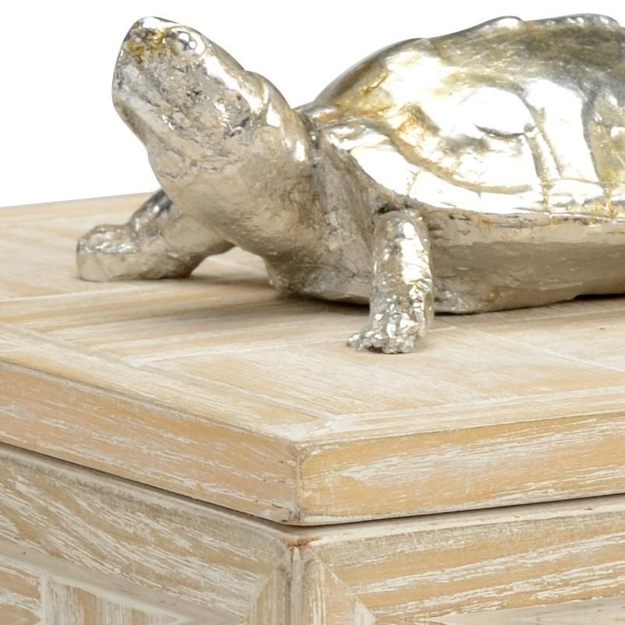 Wildwood Lamps Decorative Accessories Tortoise Family Box