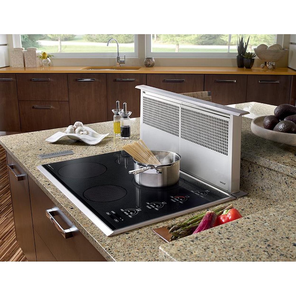 Wolf Cooktop Ventilation Cooktop Downdraft