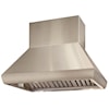 Wolf Pro Ventilation 36" Pro Island Ventilation Hood