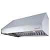 Wolf Pro Ventilation 48" Pro 24" Deep Wall Hood