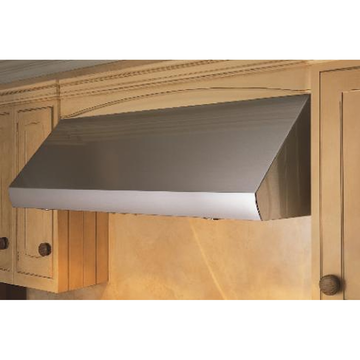 Wolf Pro Ventilation 42" Pro 24" Deep Wall Hood 