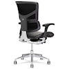 X-Chair X4 Desk Chair