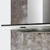 Zephyr Arc Collection 36" Wall-Mounted Range Hood