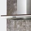 Zephyr Arc Collection 36" Wall-Mounted Range Hood