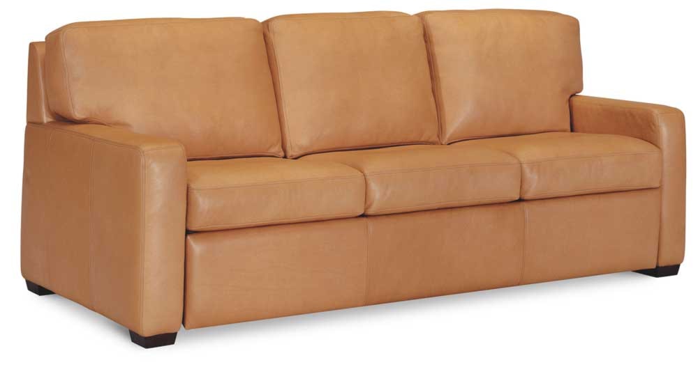 chattanooga american leather sleeper sofa