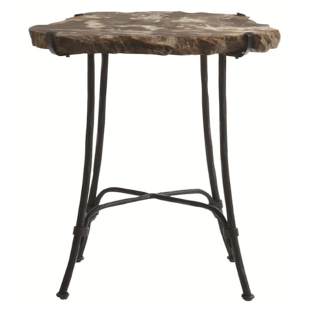 Petrified Wood Slab Side Table with Metal Base