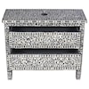 Coast2Coast Home Kaylee's Garden Two Drawer Accent Chest