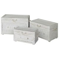 Seaside White Shell Set Of 3 Trunks