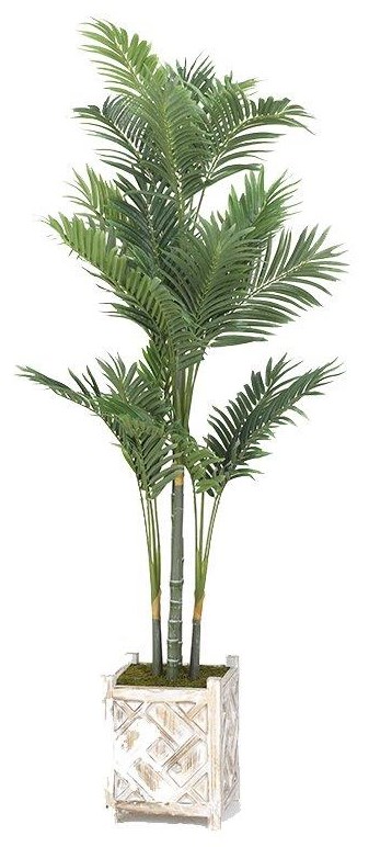 D&W Silks Artificial Trees 42020000162400 Golden Palm Tree in Square