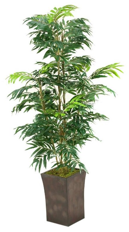 D&W Silks Artificial Trees 42020000160300 Phoenix Palm in Square
