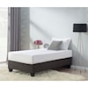 Elements Abby Twin Platform Bed