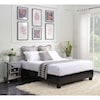 Elements Abby Queen Platform Bed