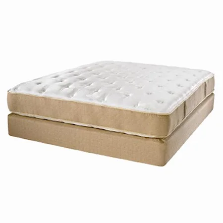 King Europa Plush Mattress and Box Spring