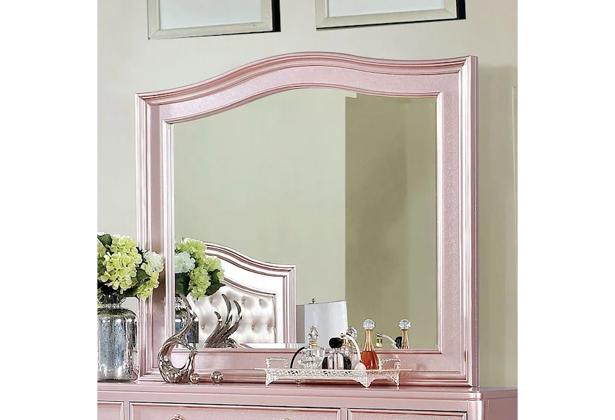 Ariston Mirror by Furniture of America at Dream Home Interiors