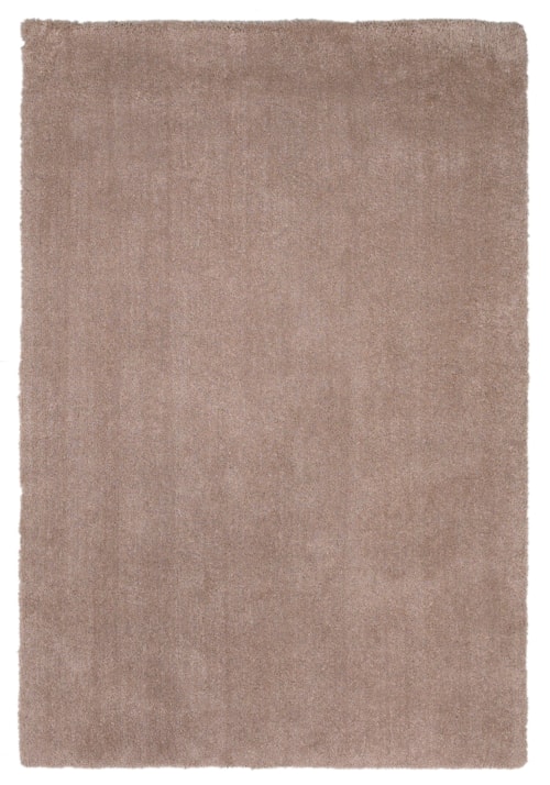 8' x 11' Rug