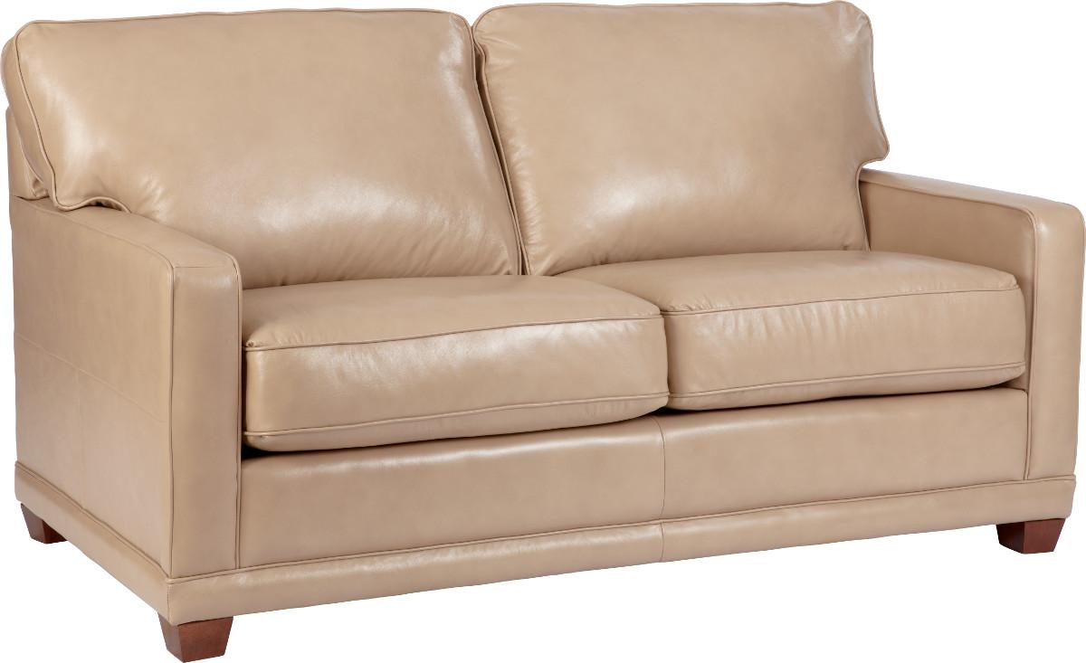 Full Sleep Sofa