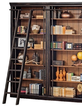 Bookcase and Ladder