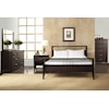 Modus International Nevis Queen Platform Bed