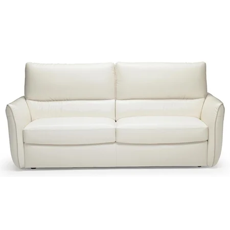 Modern Two Cushion Sofa