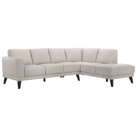 5-Seat Sectional w/ RAF Chaise