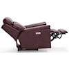 Palliser Asher Wallhugger Power Recliner