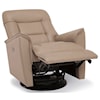 Palliser Dover Dover Swivel Gliding Power Recliner