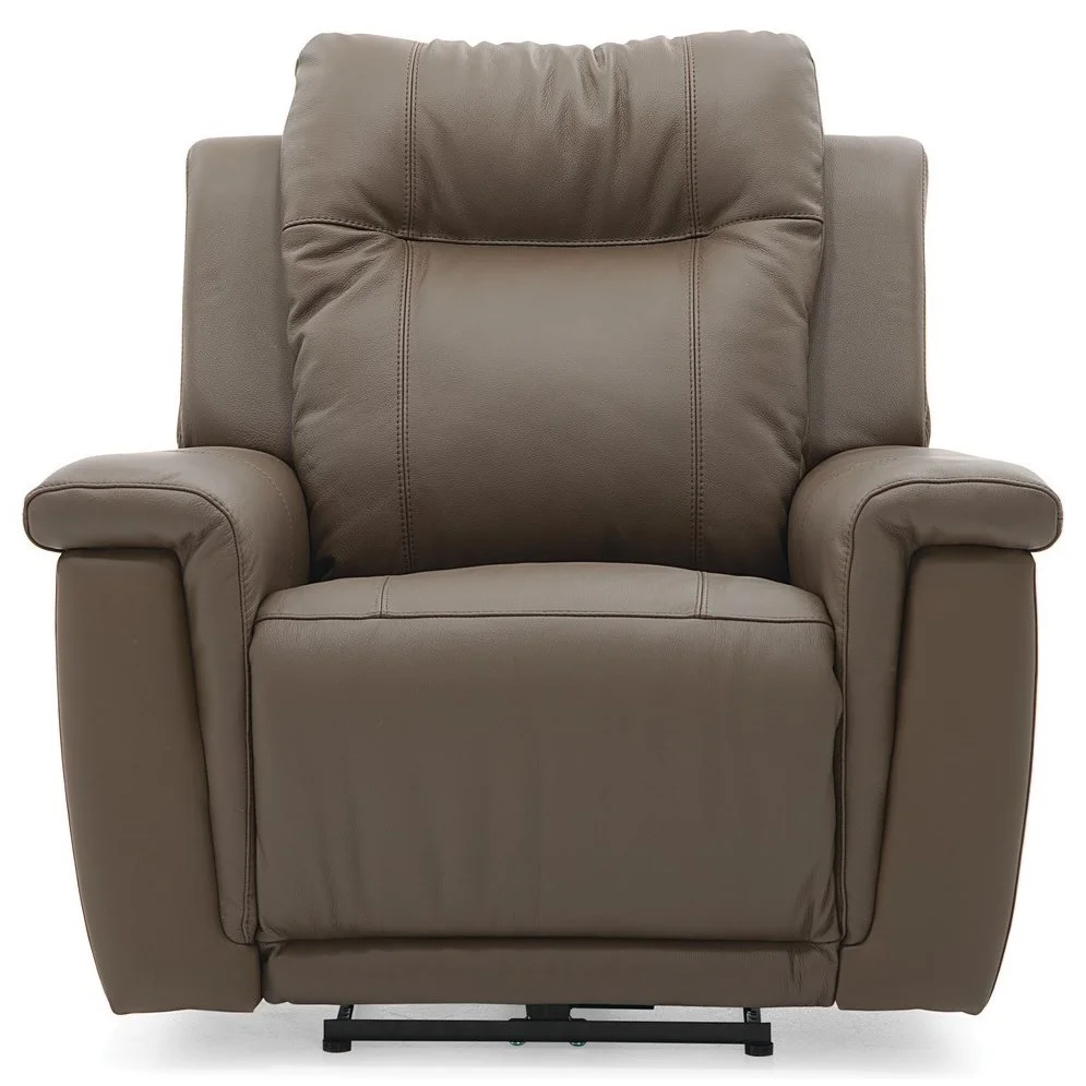 Palliser Riley 410553942 Rocker Power Recliner with Power Headrest and