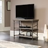 Sauder Canal Street Anywhere Console/TV Stand