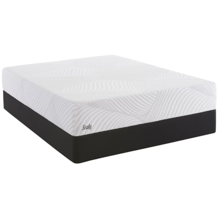 Queen 9" Gel Memory Foam Mattress Set