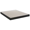 Sealy Conform Essentials N1 Firm Twin XL 9" Gel Memory Foam Low Profile Set