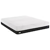 Sealy Conform Performance N5 Firm King 10" Gel Memory Foam Mattress