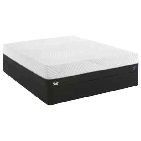 Queen 12" Plush Gel Memory Foam Mattress and 5" Low Profile StableSupport™ Foundation