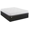 Sealy Conform Premium N11 Firm Queen 12" Firm Gel Memory Foam Mattress Set