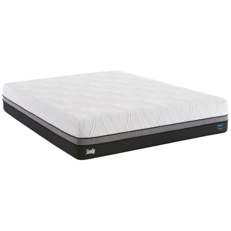 Queen 12" Firm Gel Memory Foam Adj Set