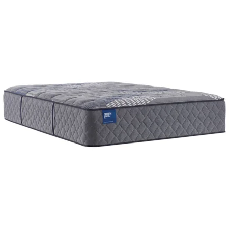 Queen 15 1/2" Plush Hybrid Tight Top Mattress and Ergomotion Pro Tract Extend Power Base