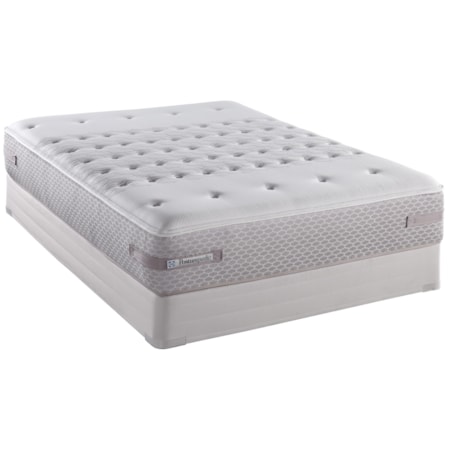 Twin Plush Mattress and Box Spring