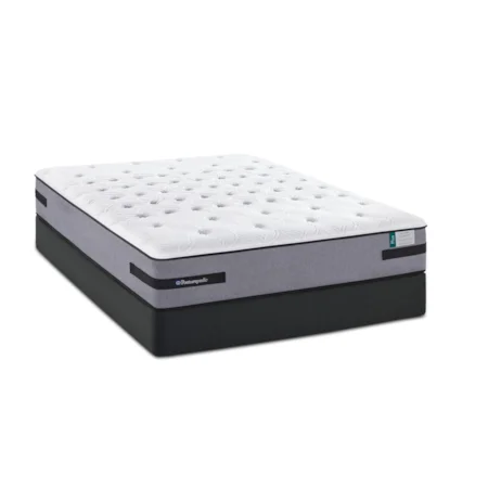 King Plush TT Mattress and Reflexion Up Adjustable Base