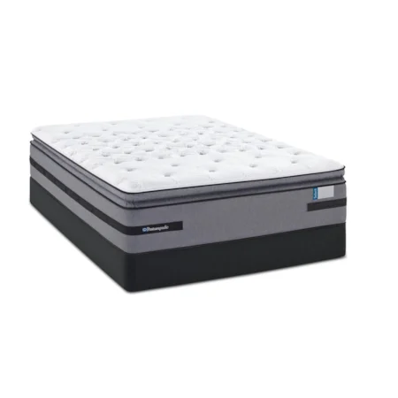 King Plush Euro Pillow Top Mattress and SS Foundation