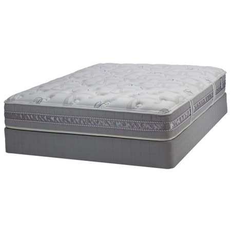 Queen Plush Mattress